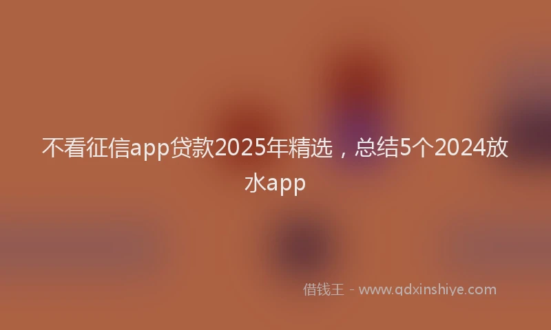 不看征信app贷款2025年精选，总结5个2024放水app