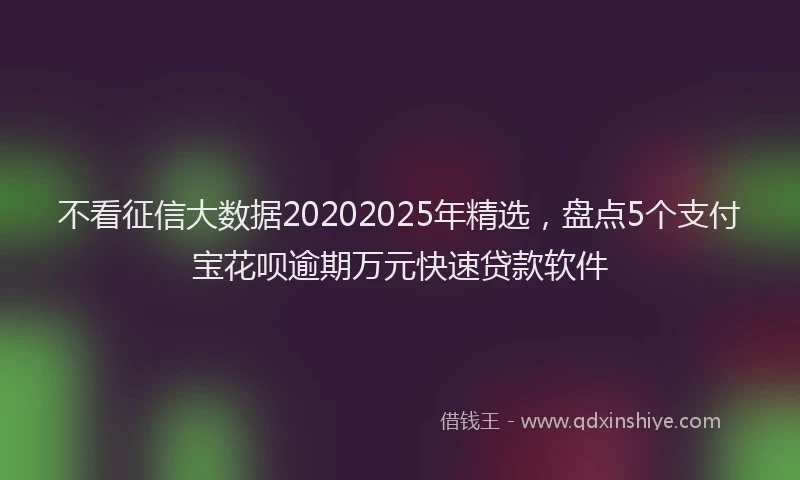 不看征信大数据20202025年精选，盘点5个支付宝花呗逾期万元快速贷款软件