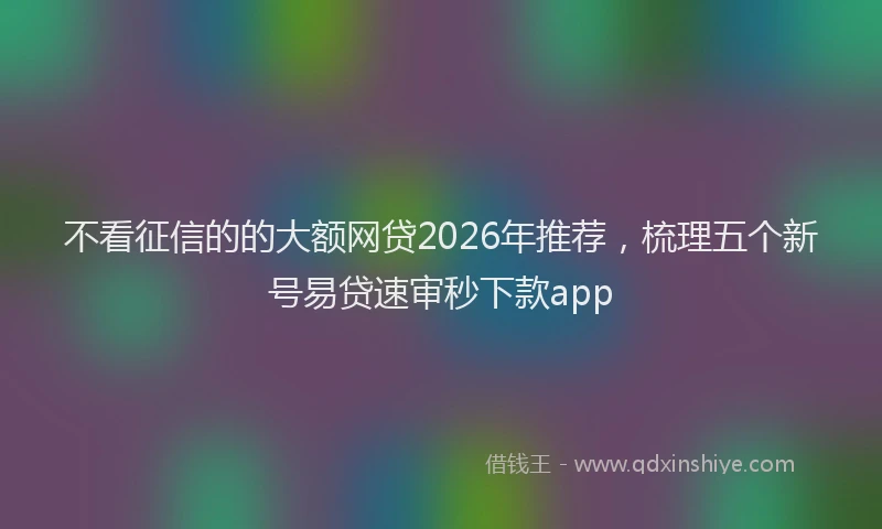 不看征信的的大额网贷2026年推荐，梳理五个新号易贷速审秒下款app
