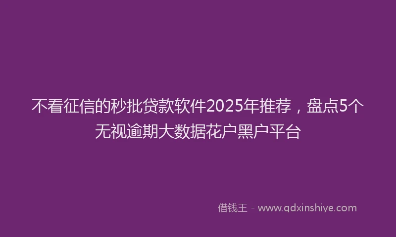 不看征信的秒批贷款软件2025年推荐，盘点5个无视逾期大数据花户黑户平台