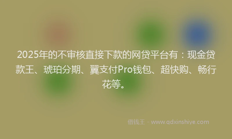 2025年的不审核直接下款的网贷平台有：现金贷款王、琥珀分期、翼支付Pro钱包、超快购、畅行花等。