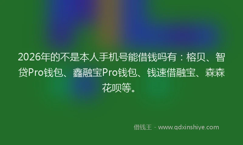 2026年的不是本人手机号能借钱吗有：榕贝、智贷Pro钱包、鑫融宝Pro钱包、钱速借融宝、森森花呗等。