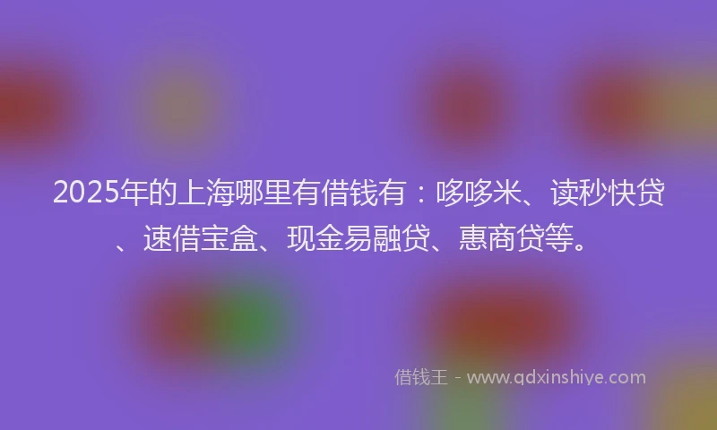 2025年的上海哪里有借钱有:哆哆米、读秒快贷、速借宝盒、现金易融贷、惠商贷等。