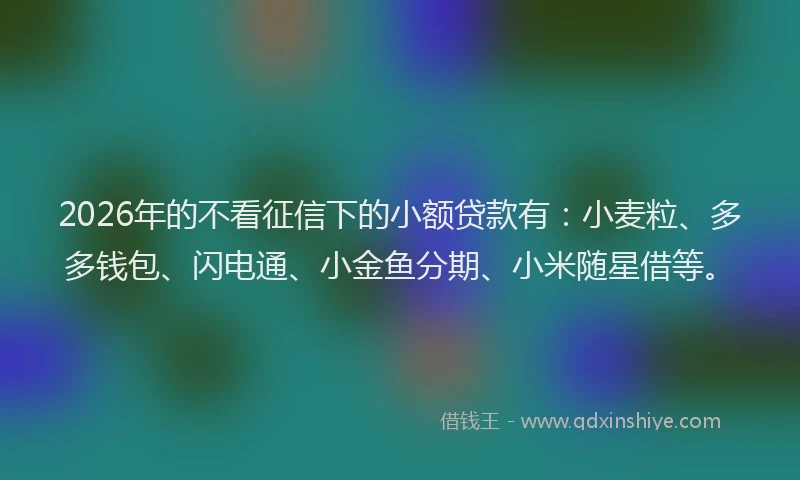 2026年的不看征信下的小额贷款有：小麦粒、多多钱包、闪电通、小金鱼分期、小米随星借等。
