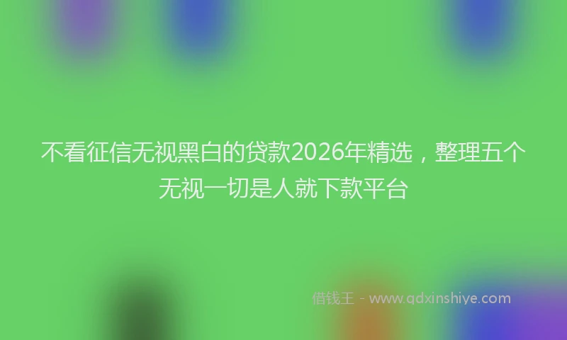 不看征信无视黑白的贷款2026年精选，整理五个无视一切是人就下款平台