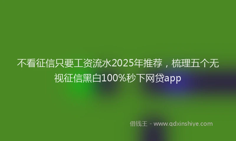 不看征信只要工资流水2025年推荐，梳理五个无视征信黑白100%秒下网贷app