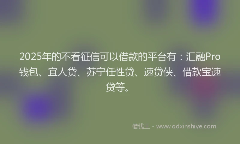 2025年的不看征信可以借款的平台有:汇融Pro钱包、宜人贷、苏宁任性贷、速贷侠、借款宝速贷等。
