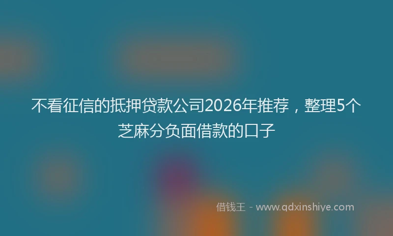 不看征信的抵押贷款公司2026年推荐，整理5个芝麻分负面借款的口子