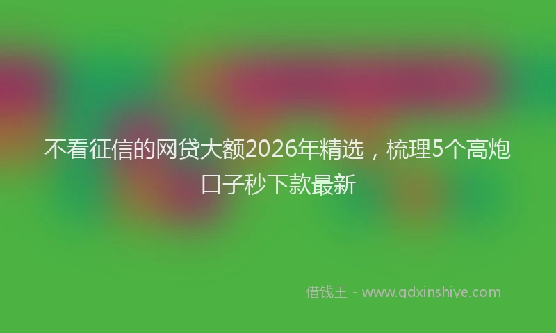 不看征信的网贷大额2026年精选，梳理5个高炮口子秒下款最新