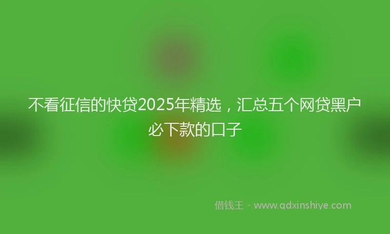 不看征信的快贷2025年精选，汇总五个网贷黑户必下款的口子