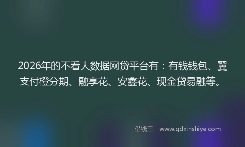 2026年的不看大数据网贷平台有:有钱钱包、翼支付橙分期、融享花、安鑫花、现金贷易融等。