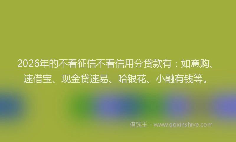 2026年的不看征信不看信用分贷款有:如意购、速借宝、现金贷速易、哈银花、小融有钱等。