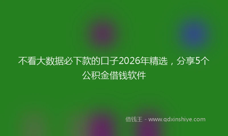 不看大数据必下款的口子2026年精选，分享5个公积金借钱软件