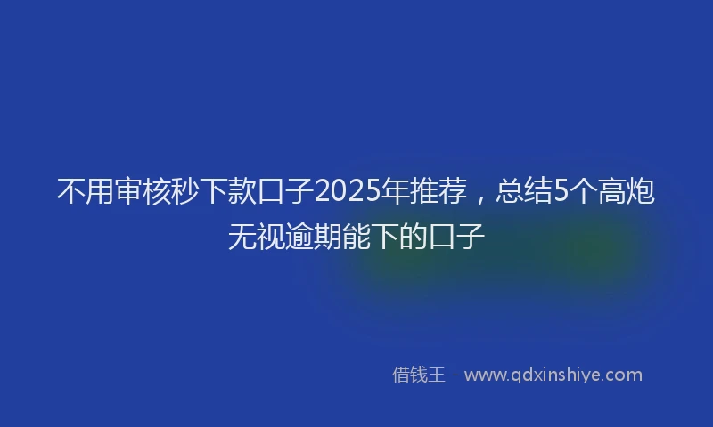 不用审核秒下款口子2025年推荐，总结5个高炮无视逾期能下的口子