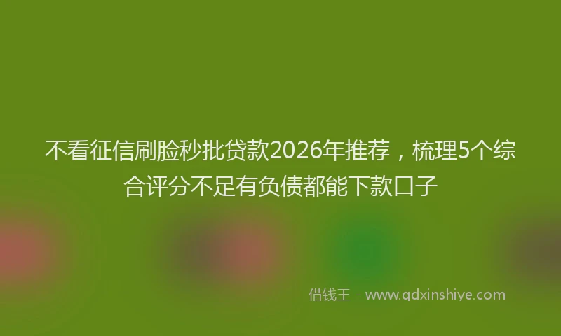 不看征信刷脸秒批贷款2026年推荐，梳理5个综合评分不足有负债都能下款口子