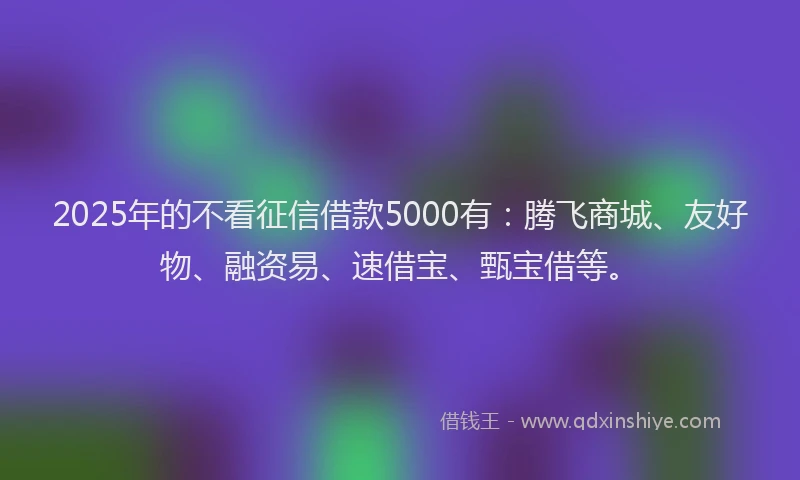 2025年的不看征信借款5000有：腾飞商城、友好物、融资易、速借宝、甄宝借等。