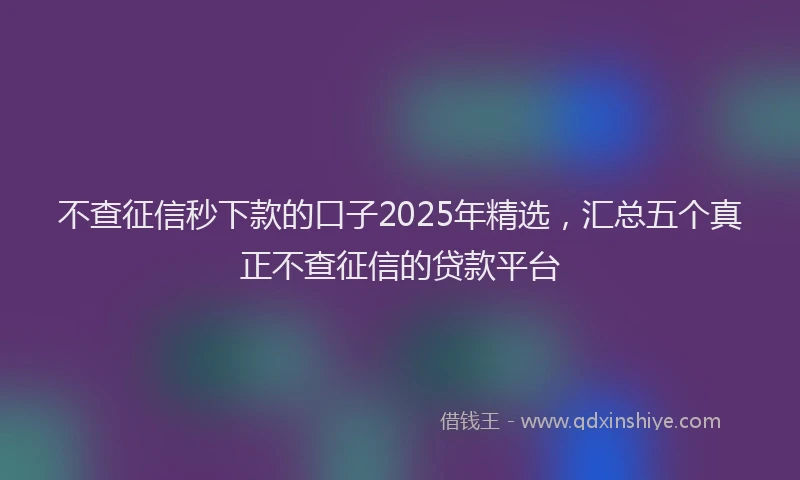 不查征信秒下款的口子2025年精选，汇总五个真正不查征信的贷款平台