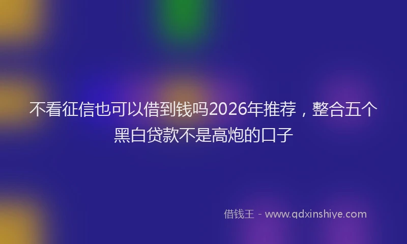 不看征信也可以借到钱吗2026年推荐，整合五个黑白贷款不是高炮的口子