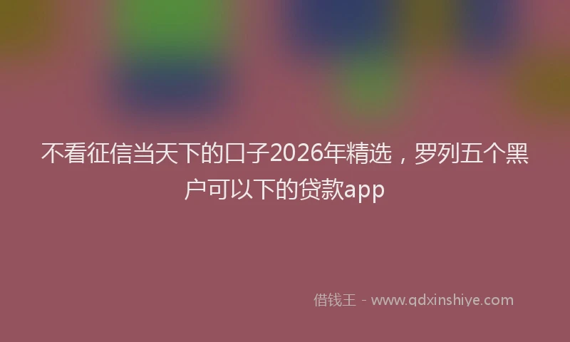 不看征信当天下的口子2026年精选，罗列五个黑户可以下的贷款app