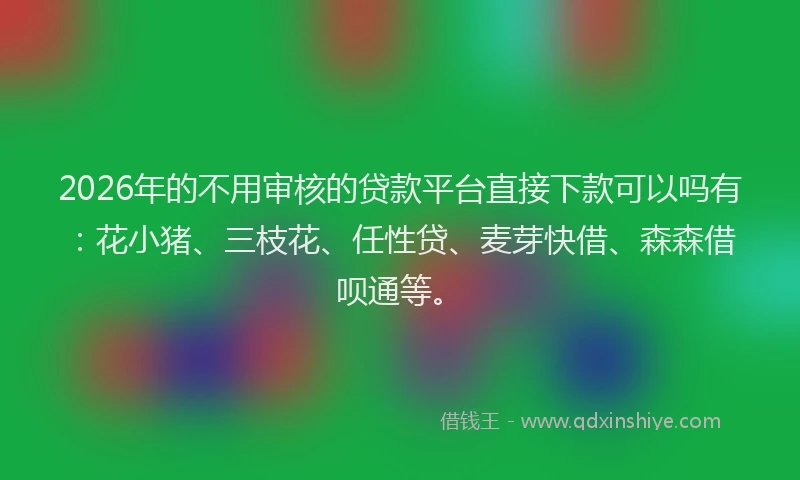 2026年的不用审核的贷款平台直接下款可以吗有：花小猪、三枝花、任性贷、麦芽快借、森森借呗通等。