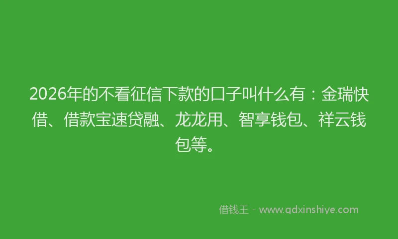 2026年的不看征信下款的口子叫什么有：金瑞快借、借款宝速贷融、龙龙用、智享钱包、祥云钱包等。
