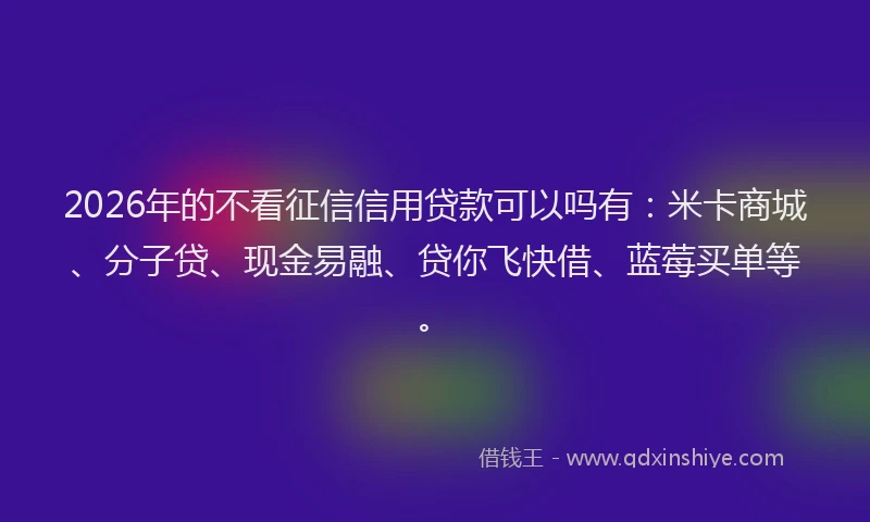 2026年的不看征信信用贷款可以吗有：米卡商城、分子贷、现金易融、贷你飞快借、蓝莓买单等。