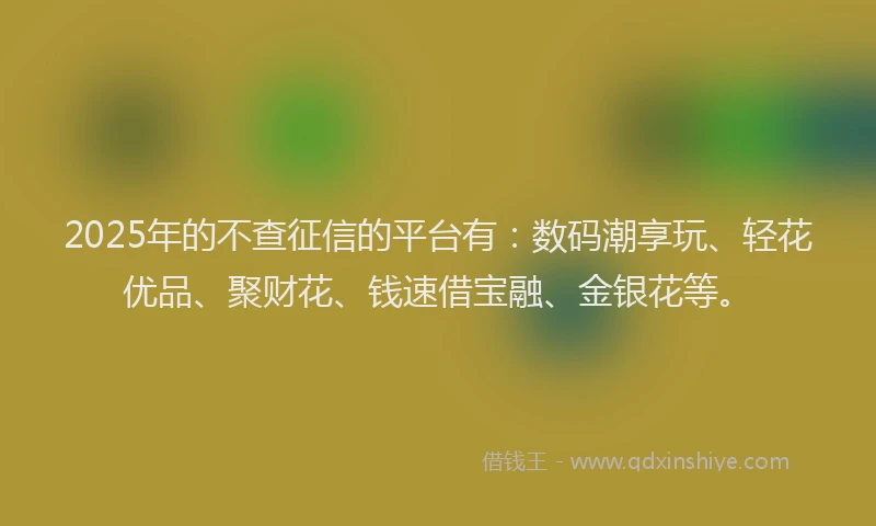 2025年的不查征信的平台有：数码潮享玩、轻花优品、聚财花、钱速借宝融、金银花等。