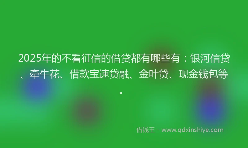 2025年的不看征信的借贷都有哪些有：银河信贷、牵牛花、借款宝速贷融、金叶贷、现金钱包等。