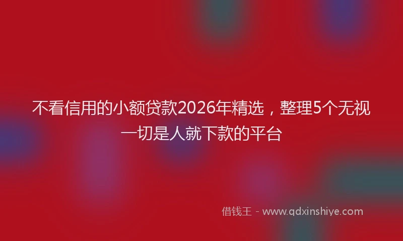 不看信用的小额贷款2026年精选，整理5个无视一切是人就下款的平台