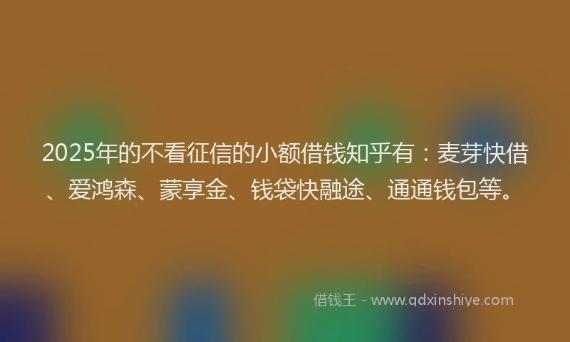 2025年的不看征信的小额借钱知乎有:麦芽快借、爱鸿森、蒙享金、钱袋快融途、通通钱包等。