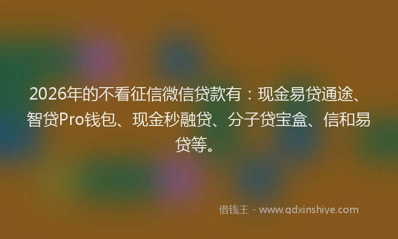 2026年的不看征信微信贷款有:现金易贷通途、智贷Pro钱包、现金秒融贷、分子贷宝盒、信和易贷等。