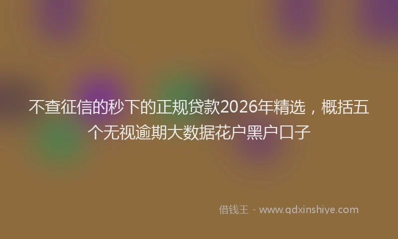不查征信的秒下的正规贷款2026年精选，概括五个无视逾期大数据花户黑户口子