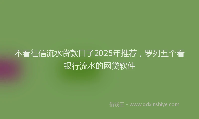 不看征信流水贷款口子2025年推荐，罗列五个看银行流水的网贷软件