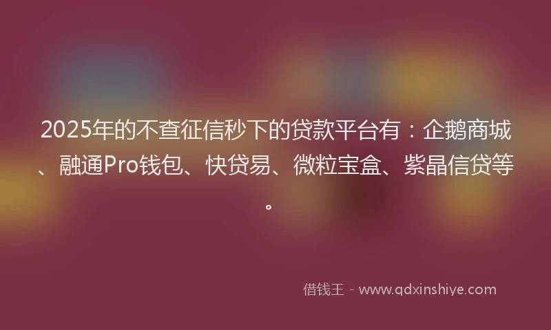 2025年的不查征信秒下的贷款平台有：企鹅商城、融通Pro钱包、快贷易、微粒宝盒、紫晶信贷等。