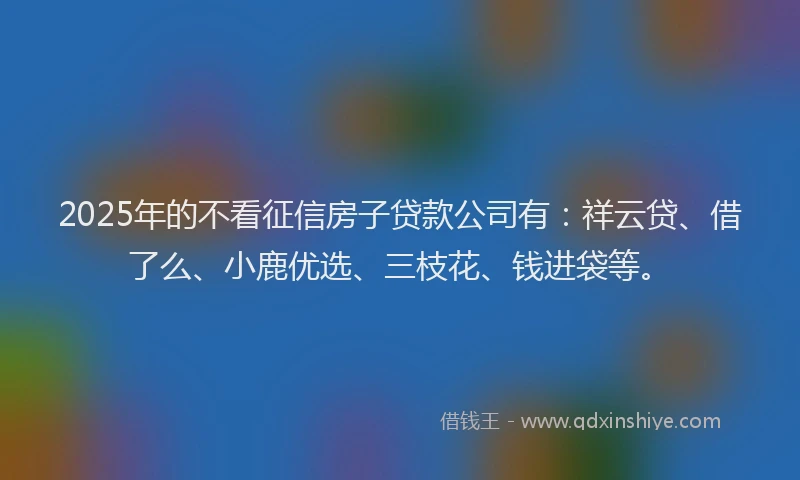 2025年的不看征信房子贷款公司有：祥云贷、借了么、小鹿优选、三枝花、钱进袋等。