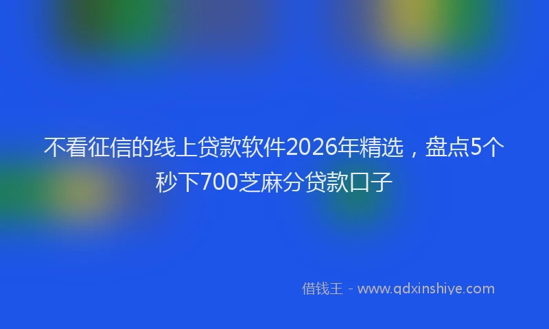 不看征信的线上贷款软件2026年精选，盘点5个秒下700芝麻分贷款口子