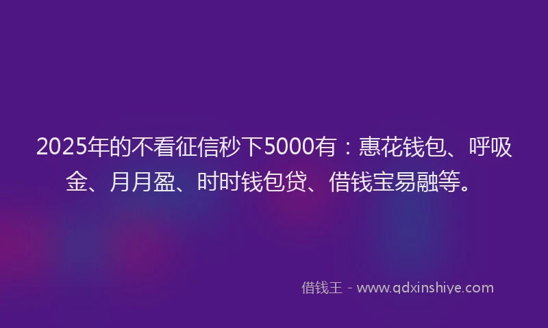 2025年的不看征信秒下5000有：惠花钱包、呼吸金、月月盈、时时钱包贷、借钱宝易融等。