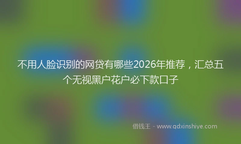 不用人脸识别的网贷有哪些2026年推荐，汇总五个无视黑户花户必下款口子