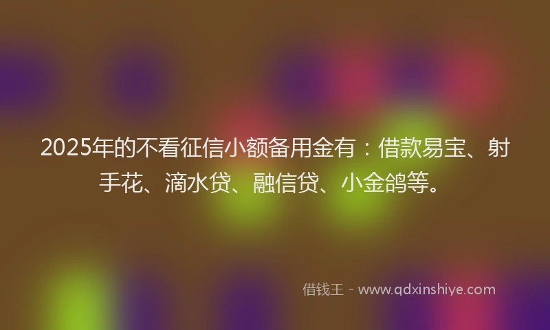 2025年的不看征信小额备用金有：借款易宝、射手花、滴水贷、融信贷、小金鸽等。