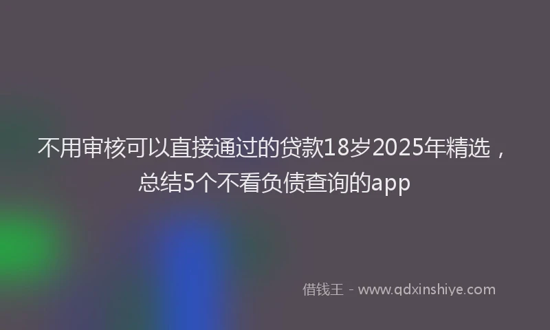 不用审核可以直接通过的贷款18岁2025年精选，总结5个不看负债查询的app