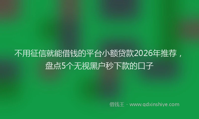 不用征信就能借钱的平台小额贷款2026年推荐，盘点5个无视黑户秒下款的口子