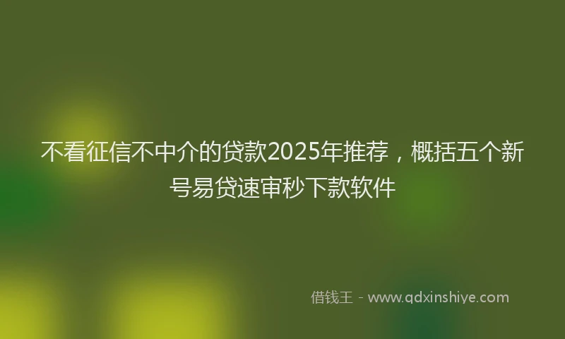 不看征信不中介的贷款2025年推荐,概括五个新号易贷速审秒下款软件