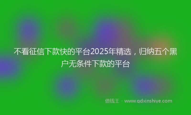 不看征信下款快的平台2025年精选，归纳五个黑户无条件下款的平台