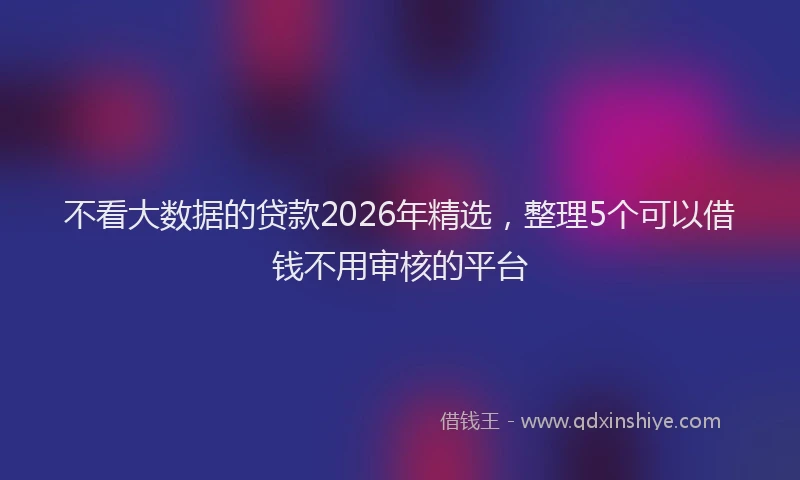 不看大数据的贷款2026年精选，整理5个可以借钱不用审核的平台