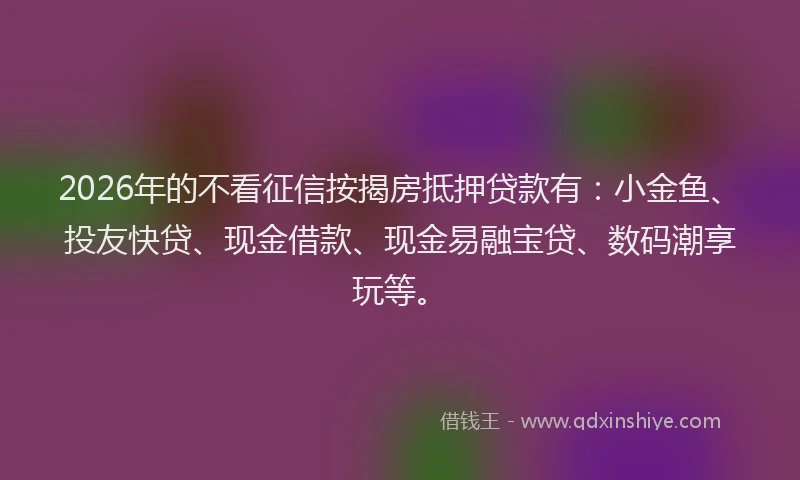2026年的不看征信按揭房抵押贷款有：小金鱼、投友快贷、现金借款、现金易融宝贷、数码潮享玩等。
