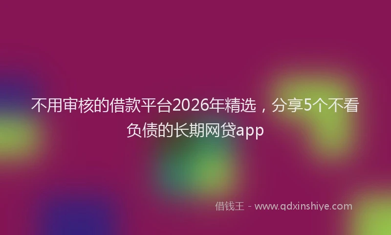 不用审核的借款平台2026年精选，分享5个不看负债的长期网贷app