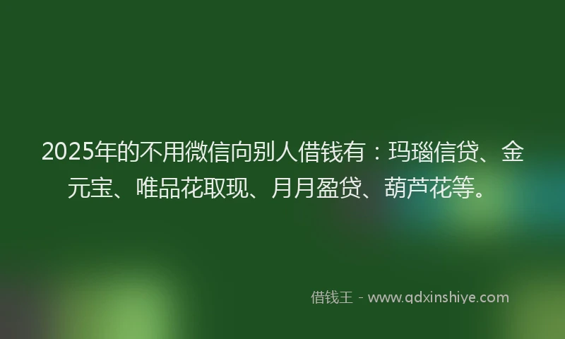 2025年的不用微信向别人借钱有：玛瑙信贷、金元宝、唯品花取现、月月盈贷、葫芦花等。