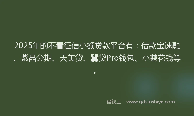2025年的不看征信小额贷款平台有：借款宝速融、紫晶分期、天美贷、翼贷Pro钱包、小鹅花钱等。