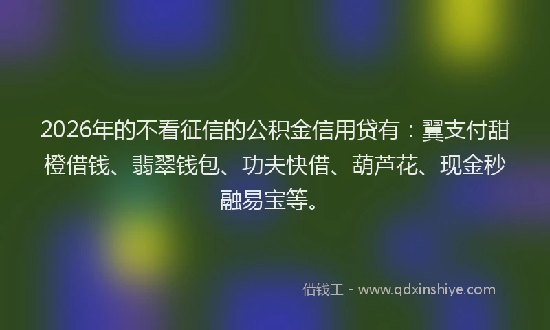 2026年的不看征信的公积金信用贷有：翼支付甜橙借钱、翡翠钱包、功夫快借、葫芦花、现金秒融易宝等。