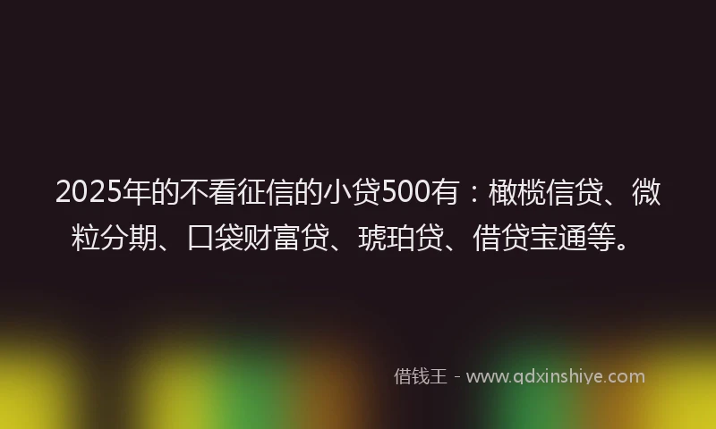2025年的不看征信的小贷500有：橄榄信贷、微粒分期、口袋财富贷、琥珀贷、借贷宝通等。